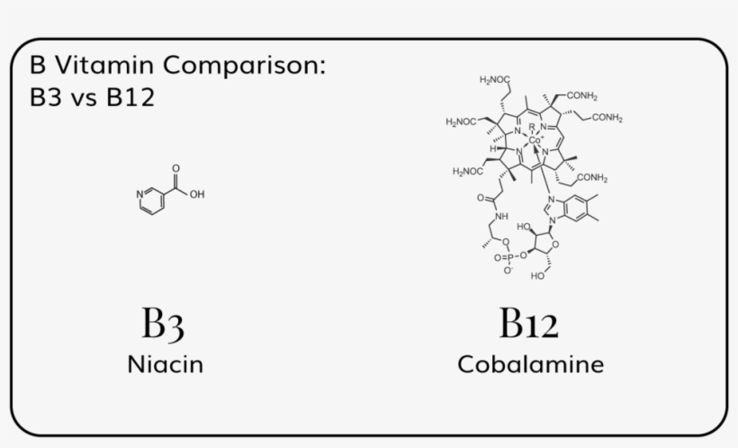 Vitamin B3 Vs B12 - Cobalamin, transparent png download