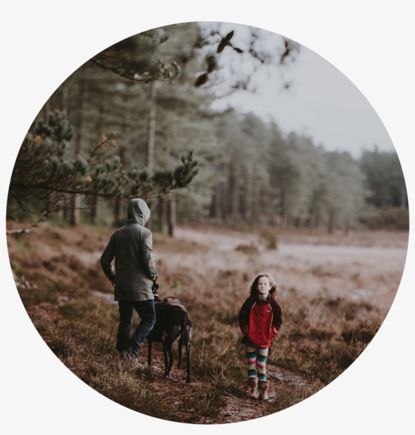 Tree Planting-02 - Companion Dog, transparent png download