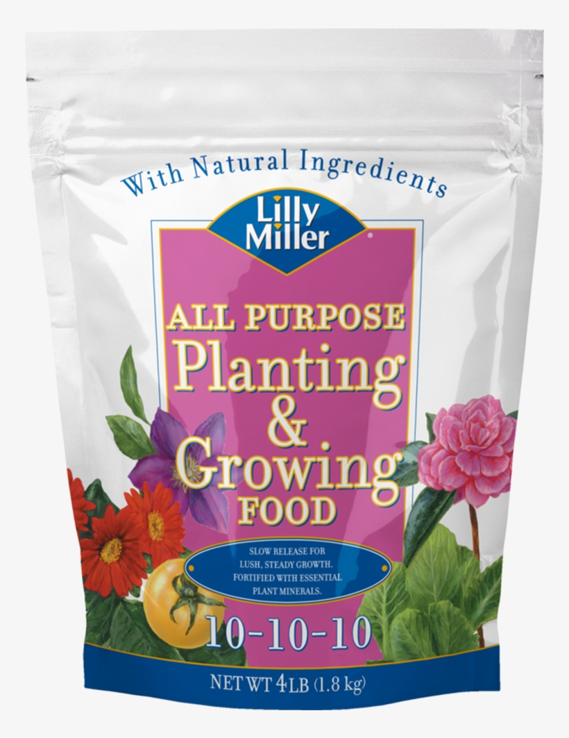 English Marigold, transparent png download