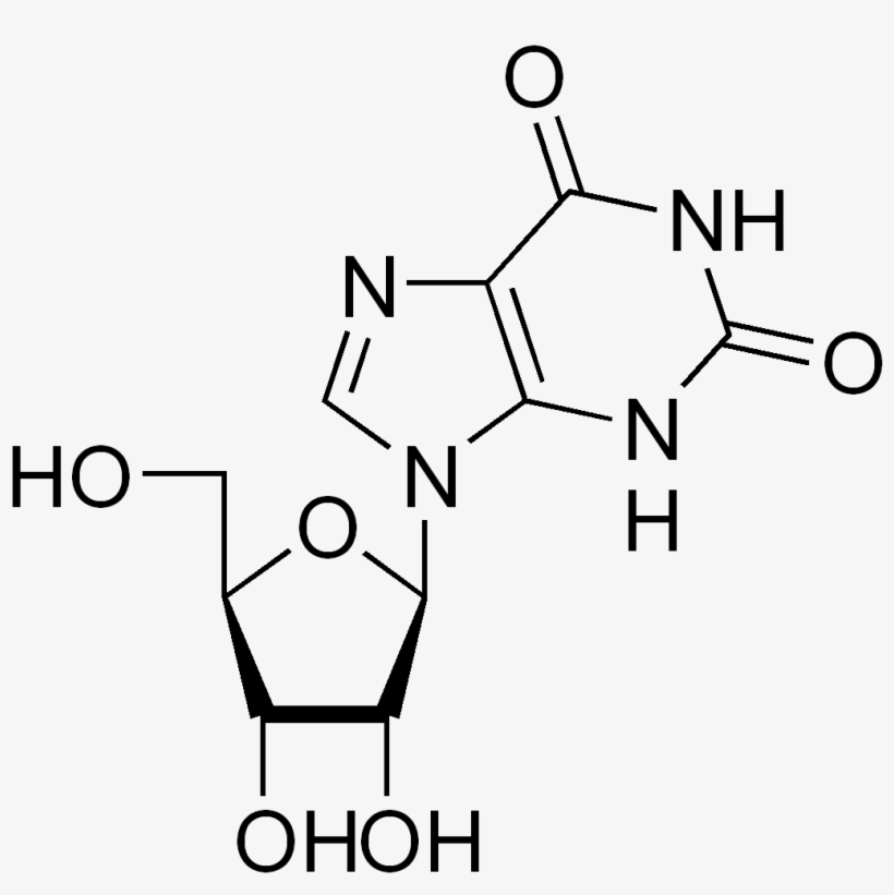 Xanthosine - 2 2 Dimethyl 1 3 Dioxolan, transparent png download