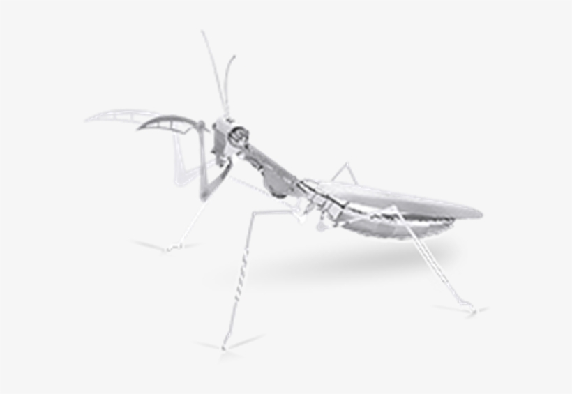 Metal Earth Praying Mantis 3d Laser Cut Bug Metal Models - Metal 3d Models Praying Mantis, transparent png download