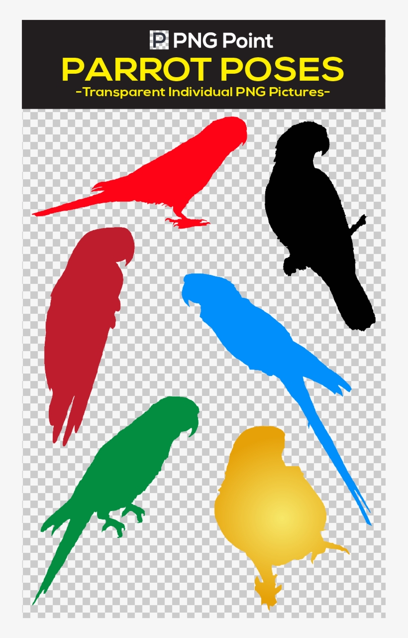 Silhouettes Images, Icons And Clip Arts Of Different - Parakeet, transparent png download