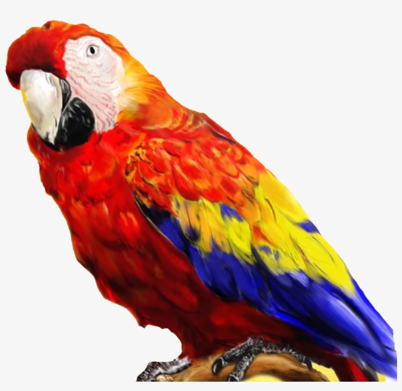 Bowser Parrot, transparent png download