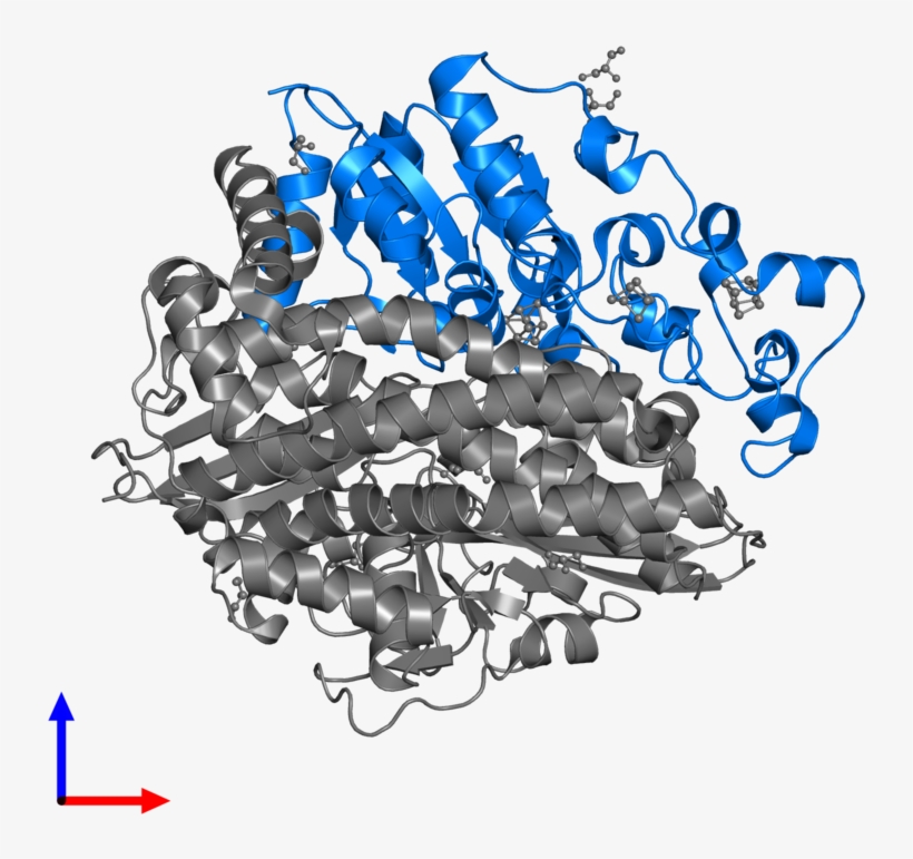 <div Class='caption-body'>pdb Entry 4ud2 Contains 1 - Graphic Design, transparent png download