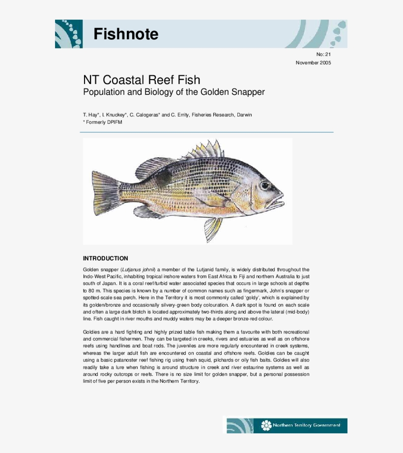 Pdf - Ray-finned Fish, transparent png download
