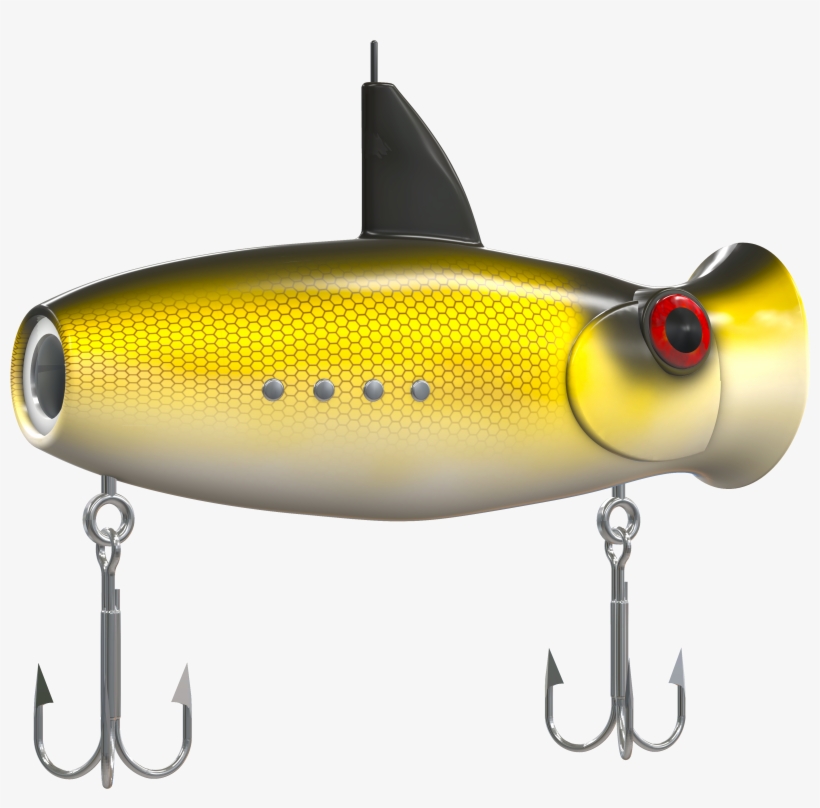 Eco-popper Fishing Popper - Common Carp, transparent png download