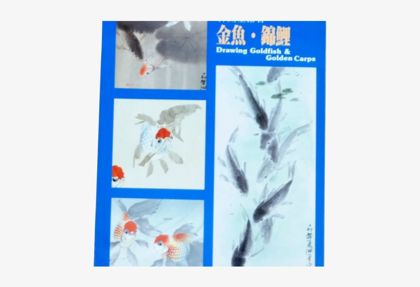 Drawn Gold Fish Aquarium - Goldfish, transparent png download