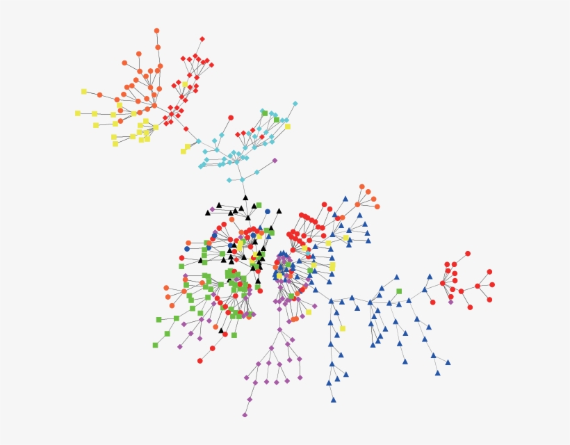 Minimum Spanning Tree Of 457 Stocks In The Us Stock - Stock Market Circles, transparent png download
