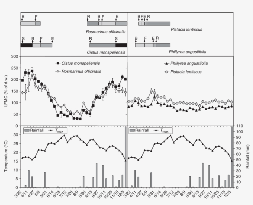 Phenological Diagrams And Live Fine Fuel Moisture Content - Diagram, transparent png download