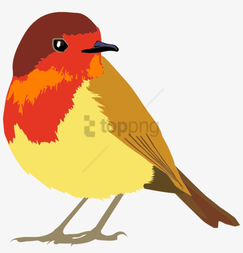 Free Png Download Favn Bird Png Images Background Png - Robin Bird Clipart, transparent png download