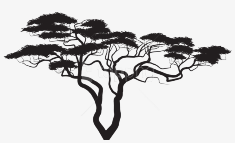 Free Png Exotic Tree Silhouette Png African Tree Silhouette Png Png Image Transparent Png Free Download On Seekpng