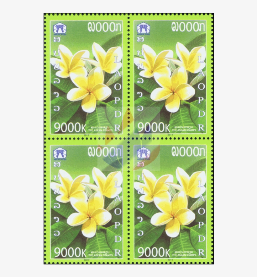 50th Anniversary Of Asean - Lily Family, transparent png download