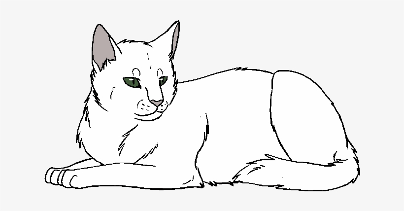 Snowfall - Domestic Short-haired Cat, transparent png download