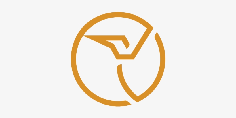 Hummingbird Drones - Symbol - Colour - Large - Business, transparent png download