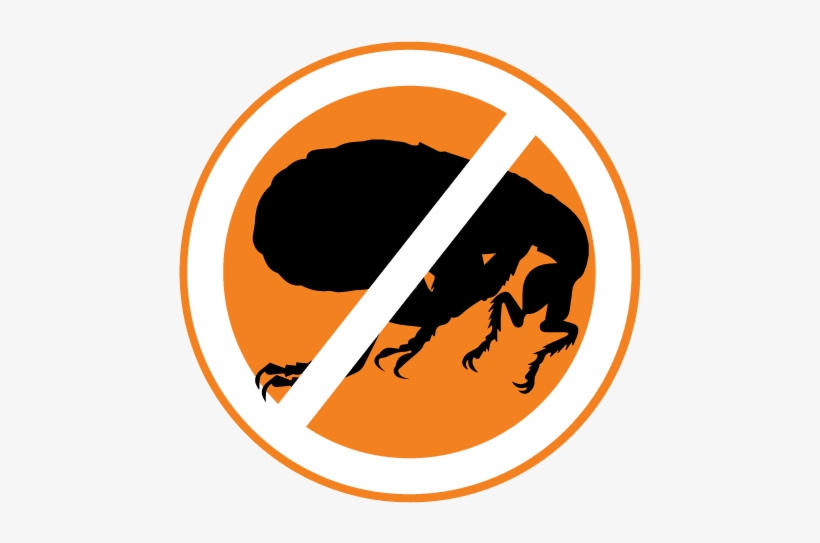 Flea Control - Flea Silhouette, transparent png download