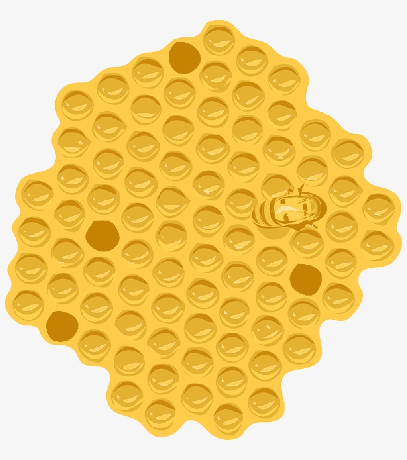 Free Pictures Hive Images Found Honey Drawing - Bee Nest Clip Art, transparent png download