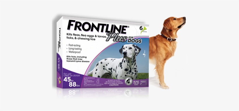 Topical Flea And Tick Control Kills For 30 Days - Frontline Flea And Tick, transparent png download