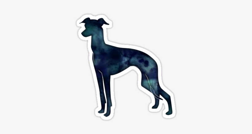 Black Watercolor Silhouette By Tripoddogdesign - Italian Greyhound, transparent png download