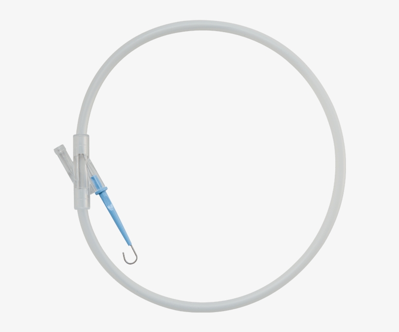 Img Class="alignnone Size Full Wp Image 26955" Src="/wp - Cardiology, transparent png download