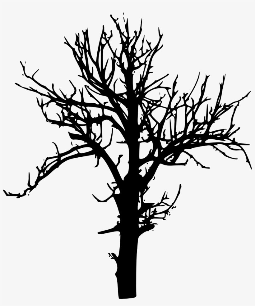 Png Image Information - Tree Drawing Transparent Background, transparent png download