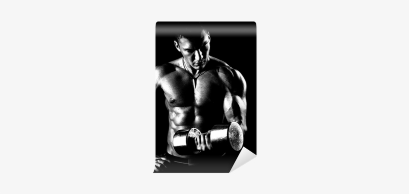 Bodybuilding, transparent png download