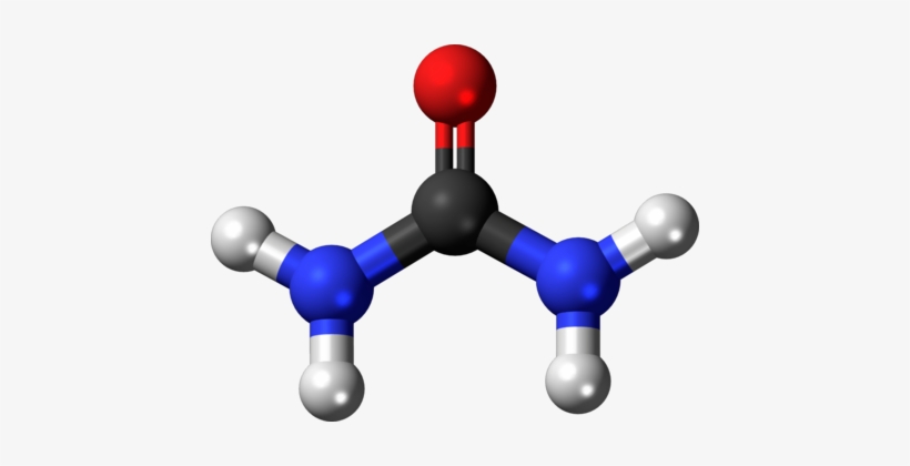 Blood Urea Nitrogen Ball And Stick Model Molecule Organic, transparent png download