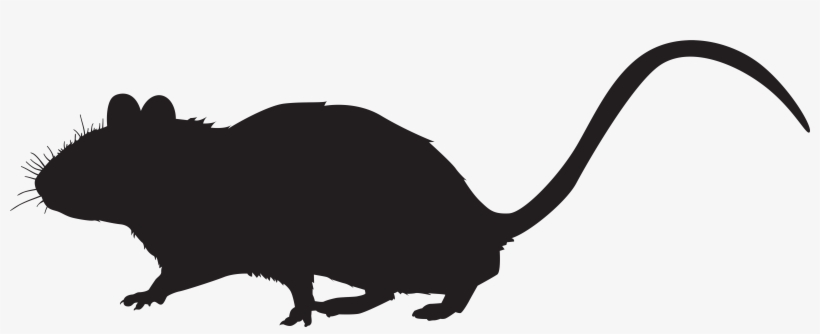 Mouse Silhouette Png Clip Art Image - Photography, transparent png download