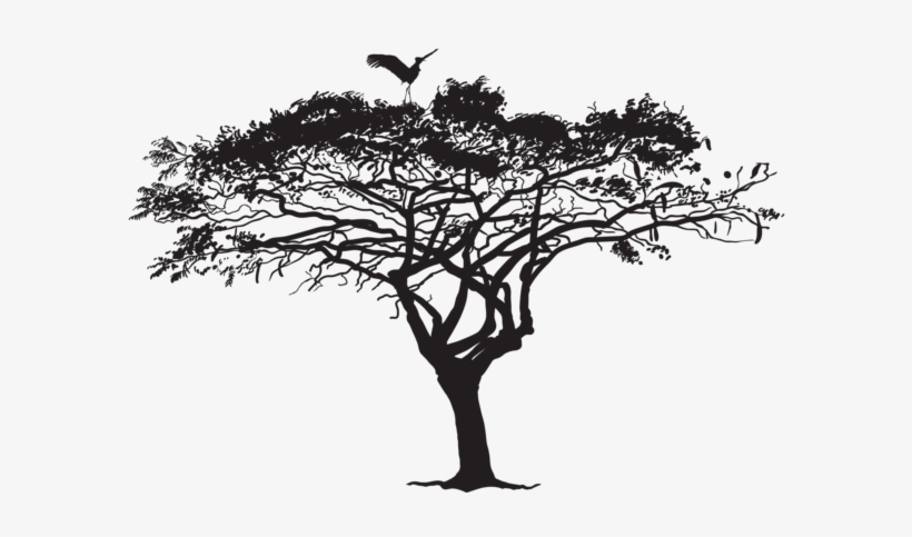 Exotic Tree And Bird Silhouette Png Clip Art Image - Exotic Tree Silhouette Png, transparent png download