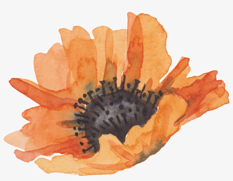 Golden Petals Cartoon Transparent - Orange Watercolor Flowers, transparent png download
