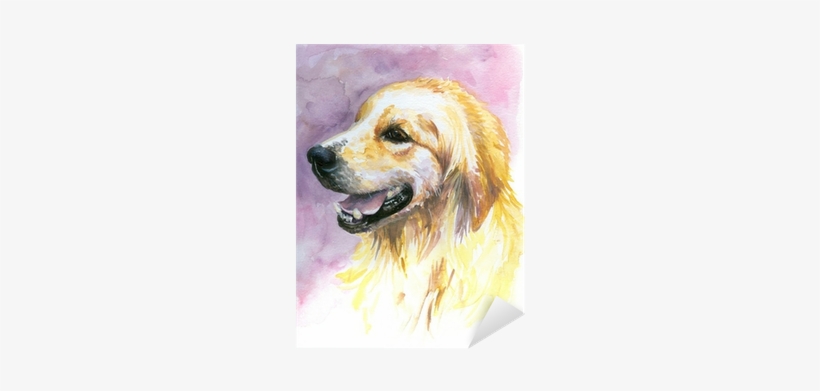 Labrador Golden Retriever Watercolor Painted - Zlatý Retriever Malovaný, transparent png download