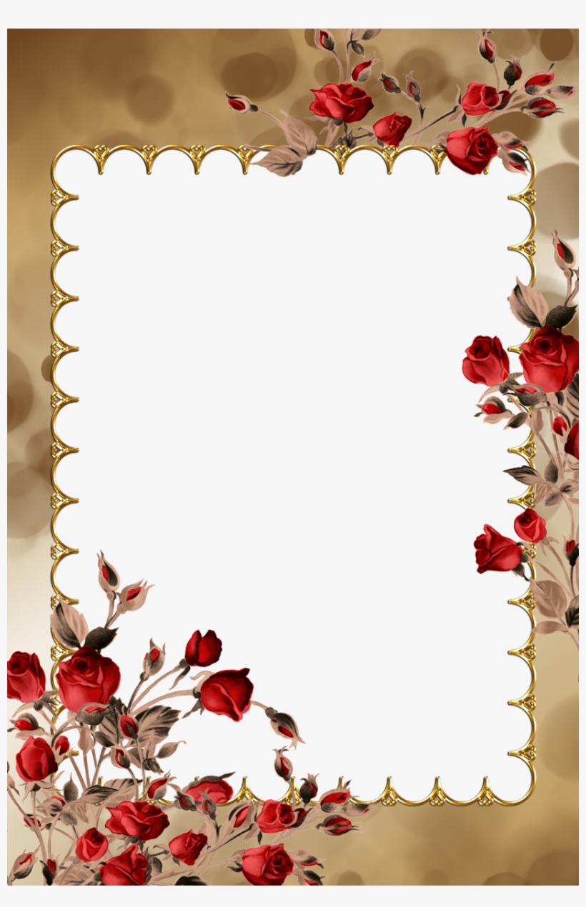 Transparent Thanksgiving Borders And Frames Pictures - Psd, transparent png download
