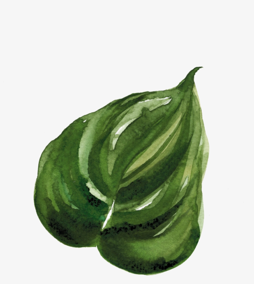 2018 Carly Zach // Louisville, Ky - Watercolor Paint, transparent png download