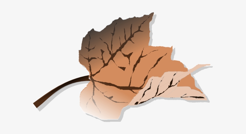 Brown Leaf Svg Clip Arts 600 X 366 Px, transparent png download
