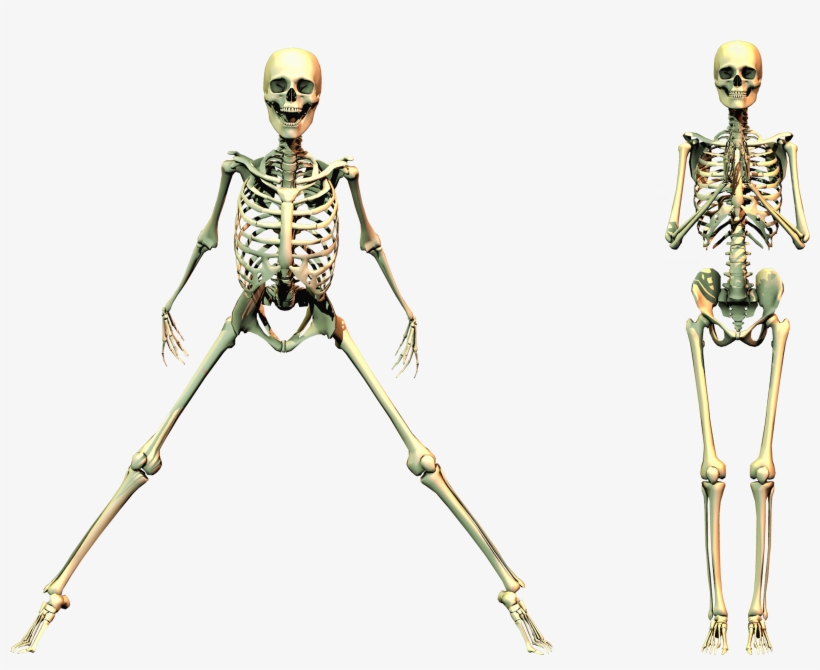 Spooky Skeleton 04 Png Stock - Spooky Skeleton Png, transparent png download