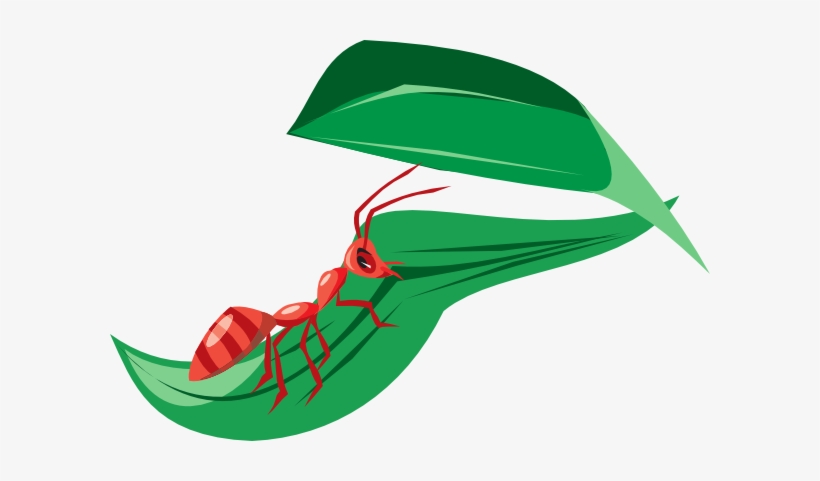 Ant On The Leaf Clipart, transparent png download