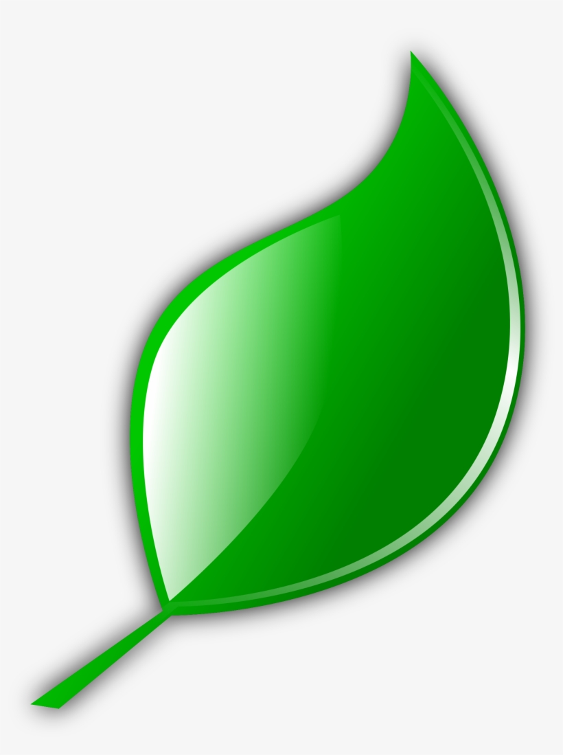 Big Image Png - Cartoon Leaf, transparent png download