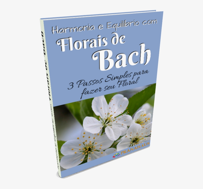 E-book Gratuito - Bach Flower Remedies, transparent png download