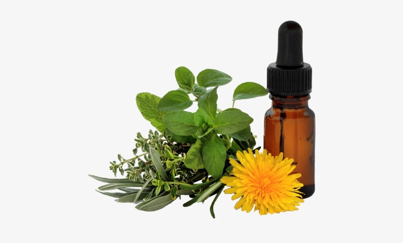 Imagenes De Medicina Naturista, transparent png download