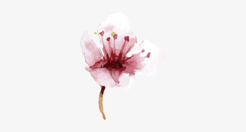 Watercolor Paint, transparent png download