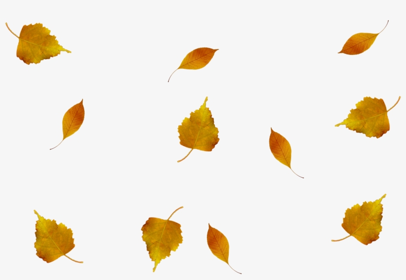Composition, Photoshop, Autumn Leaves - Hojas De Otoño Volando Png, transparent png download