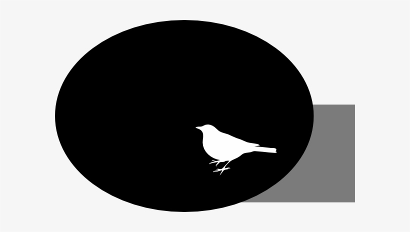 White Bird On Black Background Clip Art - White Bird On Black Background, transparent png download