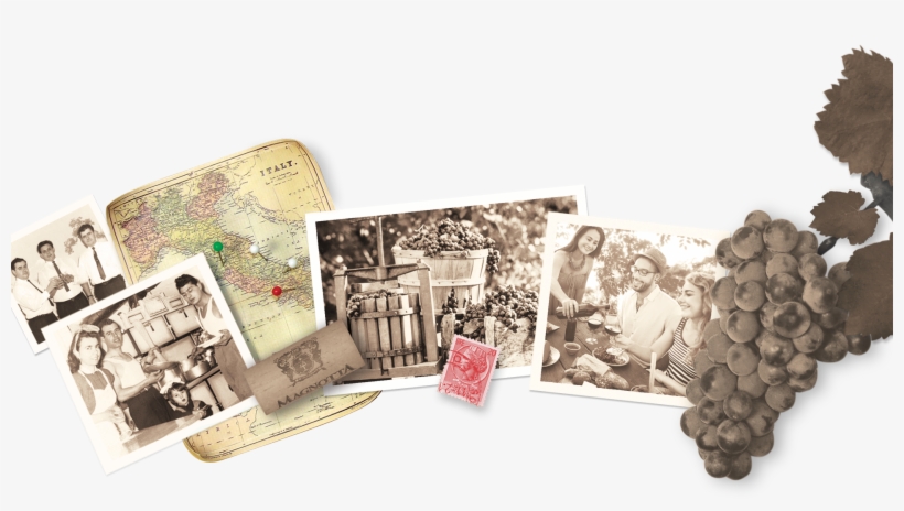 Festa Juice - Juice, transparent png download