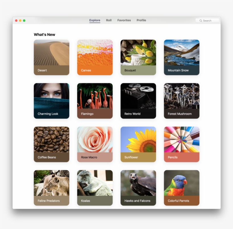 Wallpaper Wizard Explore What's New, transparent png download