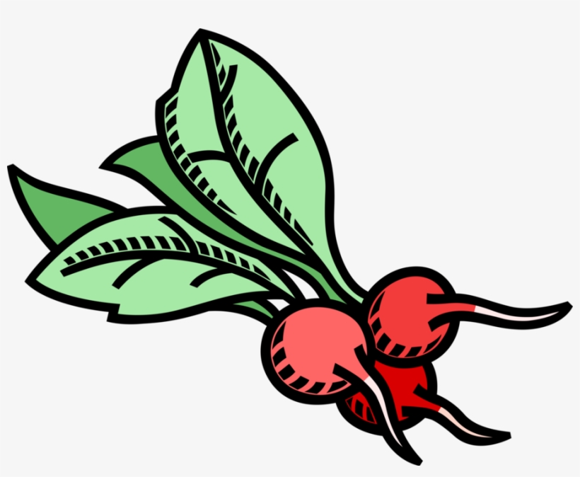 More In Same Style Group - Clip Art Gemüse, transparent png download