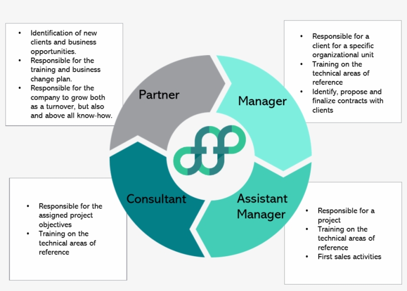 Circle Forfirm System - Vector Circle Arrow For Infographic, transparent png download