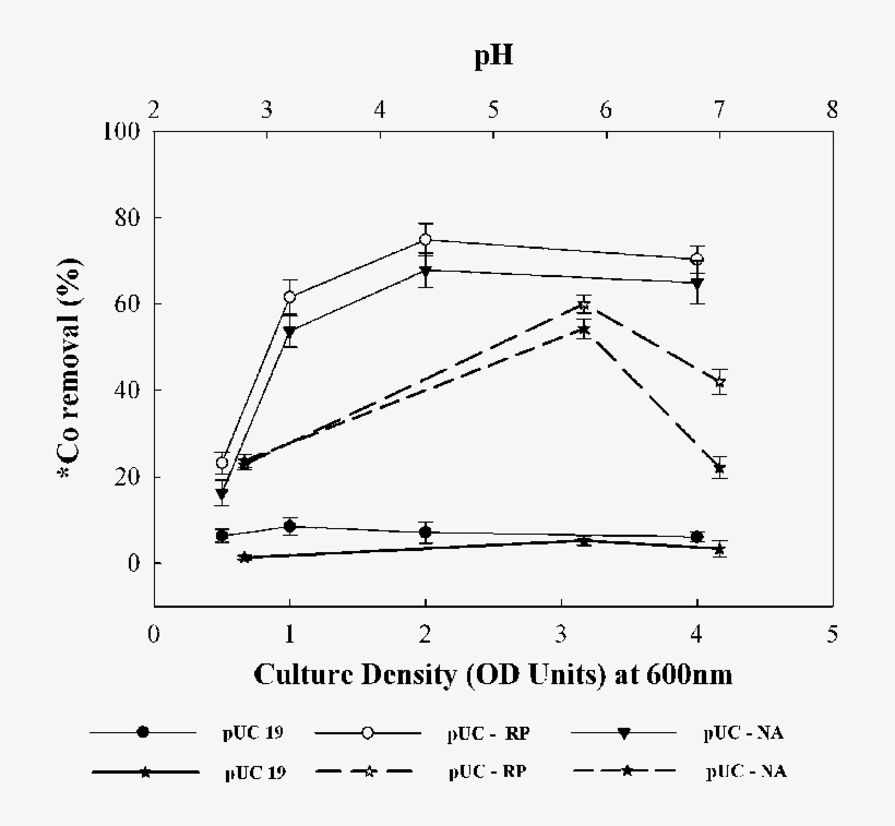Plant Diagram Labeled Beautiful Floral Diagram - Diagram, transparent png download