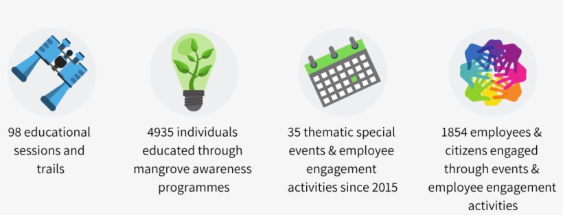 Watch Our Mangrove Conservation Video - Houseplant, transparent png download