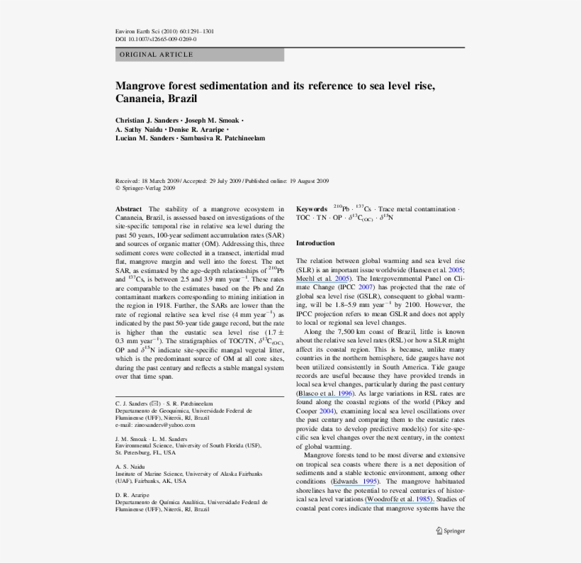 Mangrove Forest Sedimentation And Its Reference To - Physical Examination Report Of Aids, transparent png download