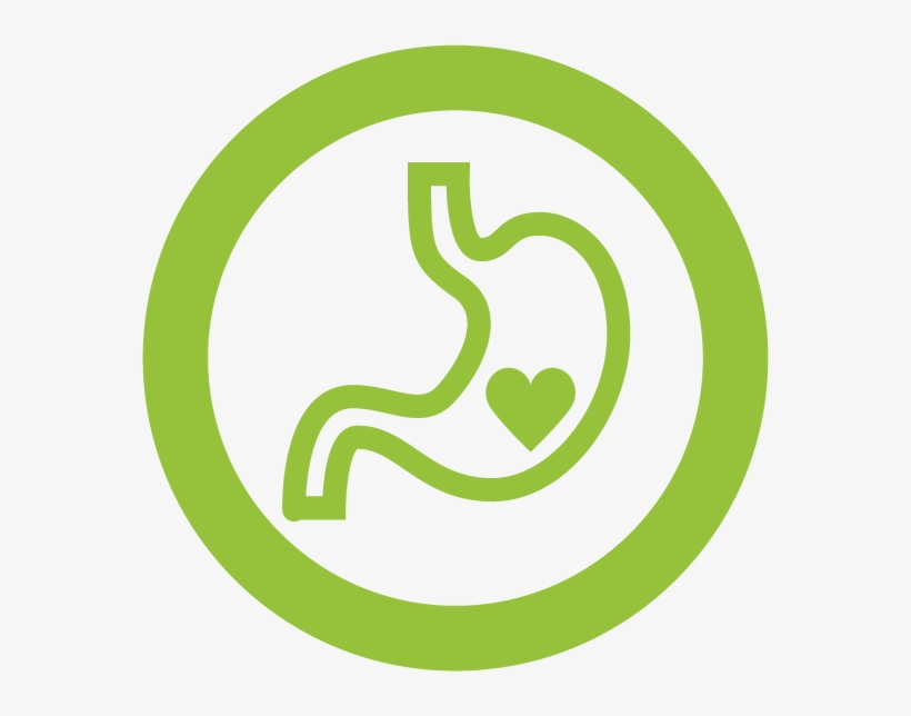 This Probiotic Spore Is Stable At Room Temperature Graphics PNG Image