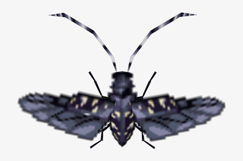 Download Zip Archive - Longhorn Beetle, transparent png download